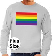 Grote maten  regenboog vlag sweater grijs voor heren 3XL