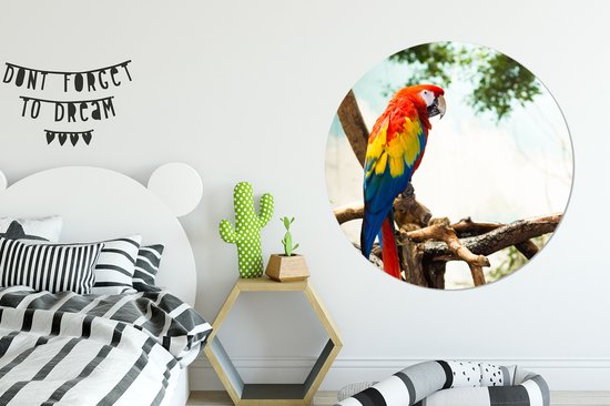WallCircle - Wall Circle - Wall Circle Indoor - Perroquet - Vogel - Arc-en-ciel - Tropical - 150x150 cm - Décoration murale - Peintures Ronds