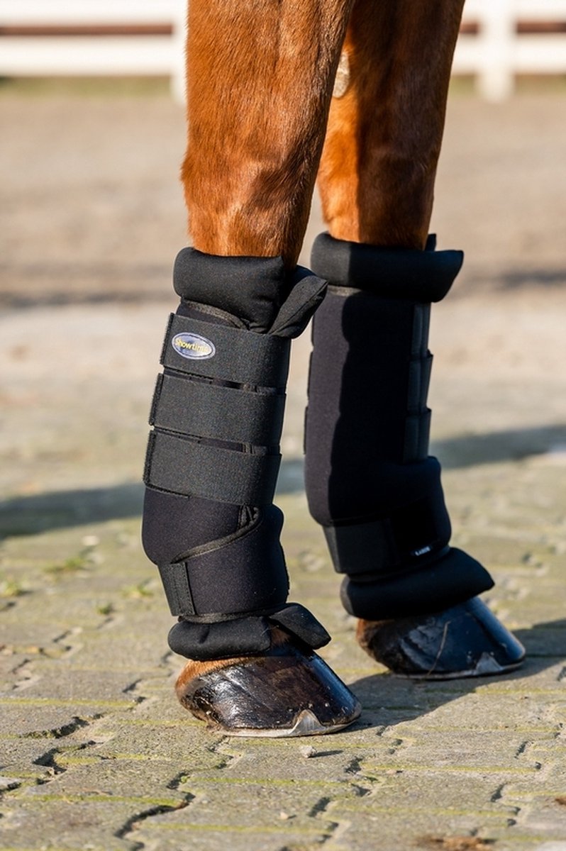 HB Showtime Stal en Transportbeschermers-Pony
