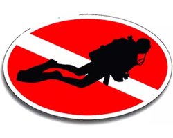 GoedeDoelen.Shop | Auto Sticker Scuba Spot | Autosticker | Scuba Sticker | Scuba Duiker | Scootersticker | Weerbestendig | Diepzee Duiken | Under The Sea | Padi | Diving | Duiksport | Watersport | Oceans | Afmeting ca 10 x 16 CM