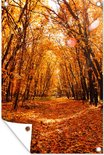 PDP.ProductImage.Thumb.Image.srtText 16