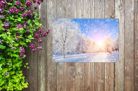 Tableau jardin neige - Soleil - Toile jardin - Poster jardin - Hiver - Décoration de jardin - Neige - Nature - 60x40 cm