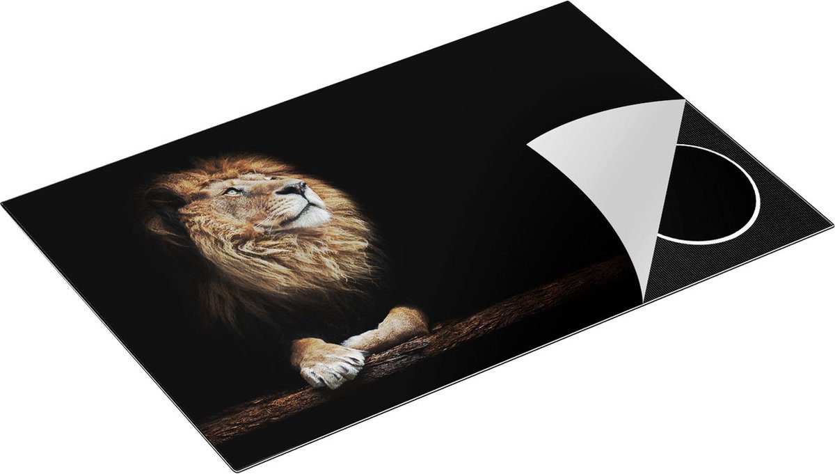Chefcare Inductie Beschermer Leeuw in het Donker op een Boomstronk - 83x51,5 cm - Afdekplaat Inductie - Kookplaat Beschermer - Inductie Mat