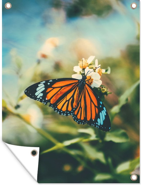 Tuinposter - Vlinder - Bloemen - Wit - Zon - Lente - Tuindoeken voor buiten - 90x120 cm - Tuindoek