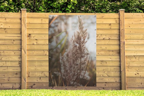 Affiche jardin - Pampa - Herbe de la pampa plante de jardin - Plante - Nature - Rose - 120x180 cm - Affiche clôture - Jardin - Décoration murale - Décoration Décoration de jardin - Toile jardin - Affiche extérieur