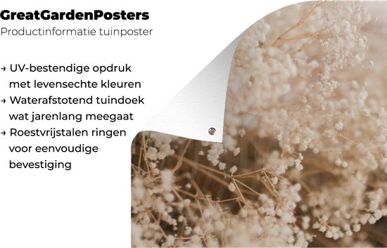 Affiche jardin - Pampa - Herbe de la pampa plante de jardin - Plantes - Nature - Rose - 100x100 cm - Affiche jardin fleurs - Jardin - Décoration murale - Décoration murale - Toile jardin - Affiche extérieur