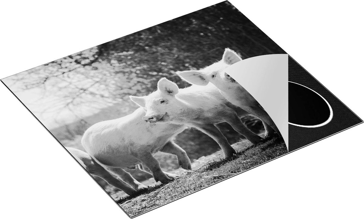 Chefcare Inductie Beschermer Groep Jonge Varkens - Zwart Wit - 60x50 cm - Afdekplaat Inductie - Kookplaat Beschermer - Inductie Mat