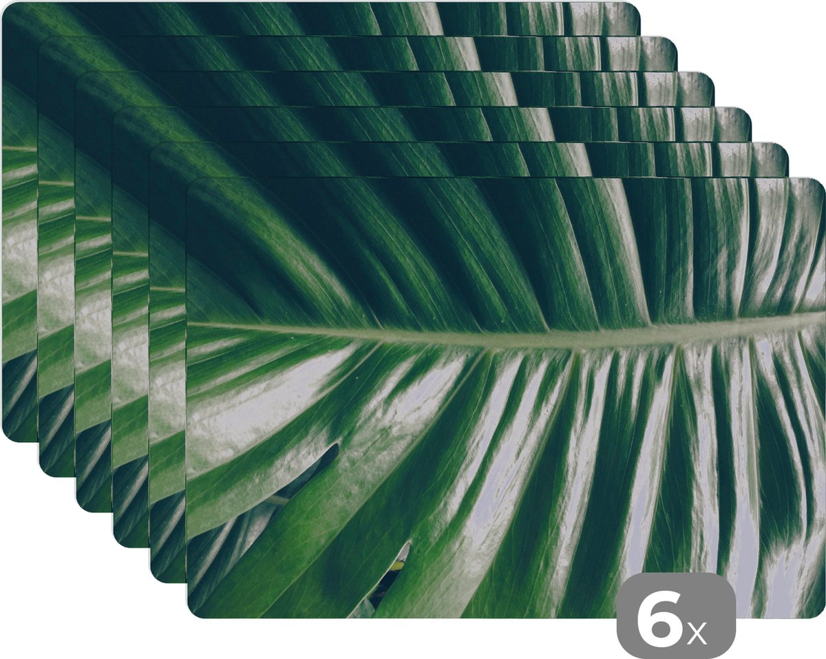 Placemats - Jungle - Tropical - Bladeren - Natuur - Groen - Eettafel - Onderleggers - 45x30 cm - 6 stuks