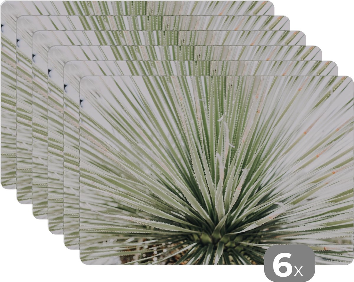 Placemats - Natuur - Groen - Plant - Onderleggers rond - 45x30 cm - Onderleggers - Placemat - 6 stuks