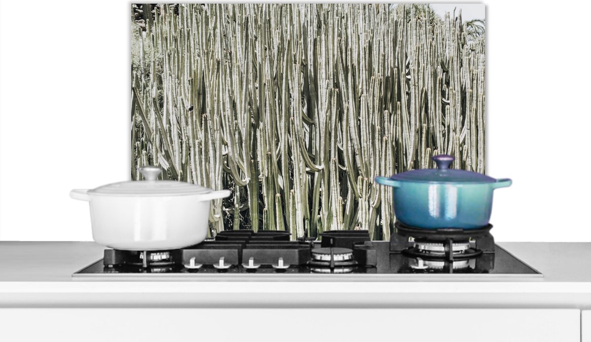 Spatscherm - Spatwand - Cactus - Natuur - Groen - Plant - Keuken decoratie - 60x40 cm
