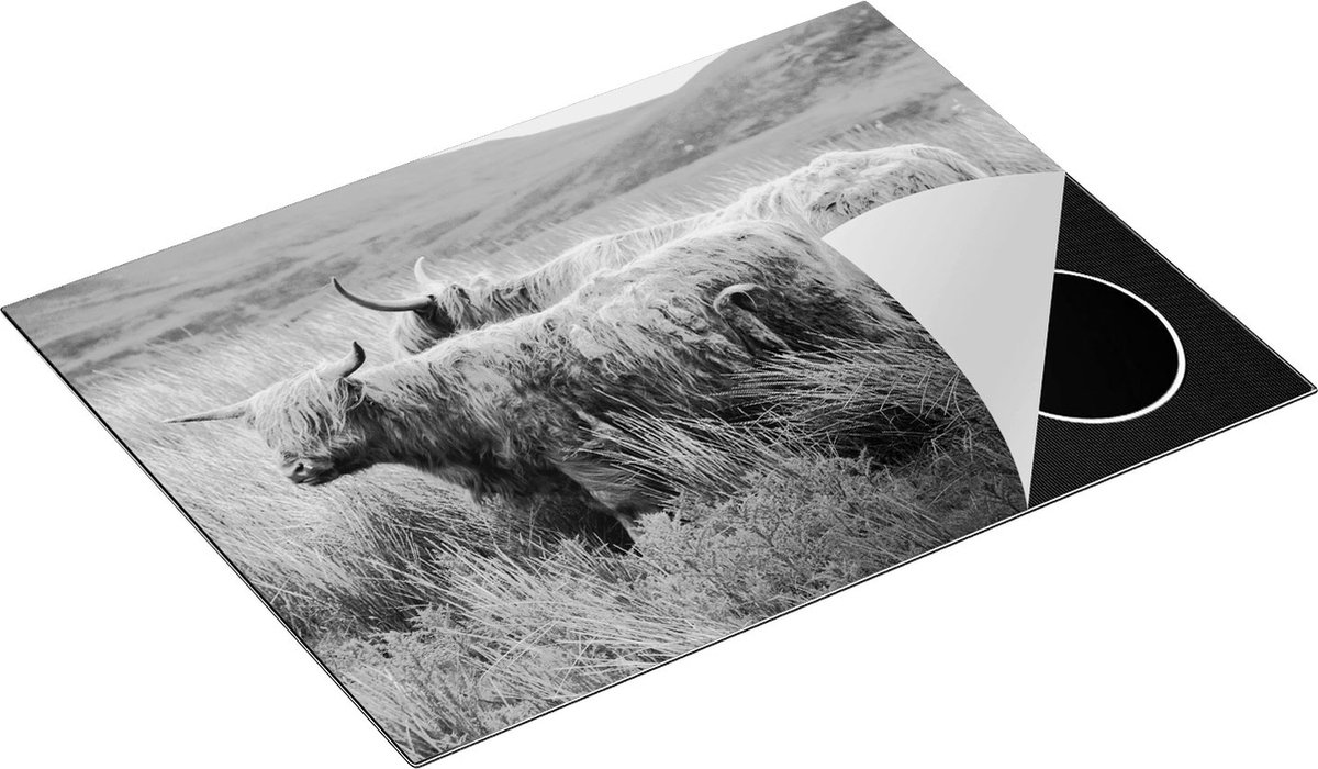 Chefcare Inductie Beschermer Twee Schotse Hooglanders in het Heuvelvelachtige Veld - Zwart Wit - 70x52 cm - Afdekplaat Inductie - Kookplaat Beschermer - Inductie Mat