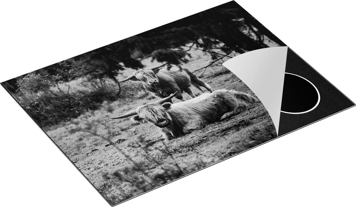 Chefcare Inductie Beschermer Twee Schotse Hooglanders in de Bossen - Zwart Wit - 71x52 cm - Afdekplaat Inductie - Kookplaat Beschermer - Inductie Mat