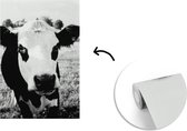 Behang - Fotobehang Ingezoomde opname van een koe - Breedte 190 cm x hoogte 280 cm