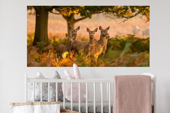 Stickers muraux - Film autocollant - Animaux de la forêt - Cerf - Lumière - 120x60 cm - Film adhésif - Stickers muraux chambre d'enfant - Papier peint autocollant - Papier peint autocollant - Film autocollant