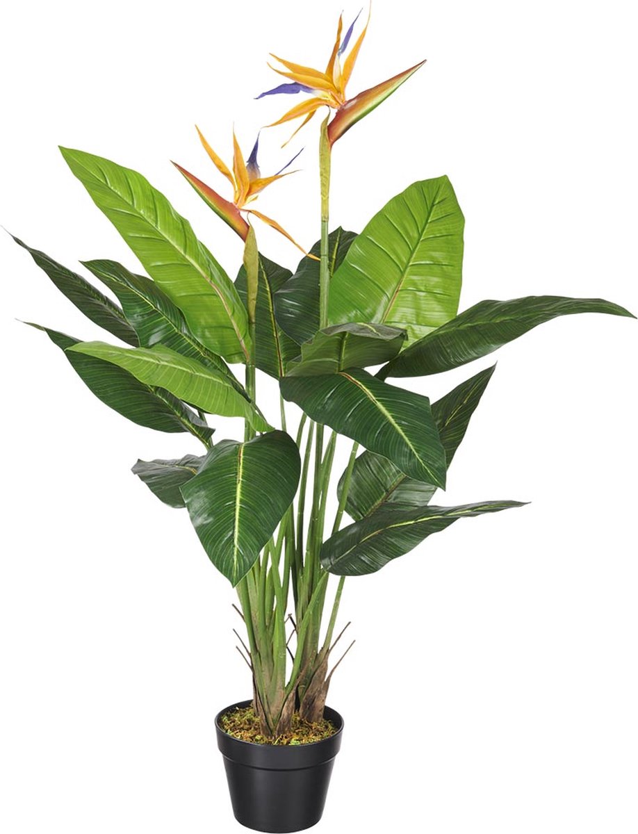 HTT Decorations Kunstplant Strelitzia H110cm - HTT Decorations kunstplanten Oranje/Blauw