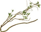 Terra Della - Natuurlijke Decoratie - Reptielen - Plantentak Dik 110cm Groen - 1st