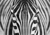 IXXI Zebra - Wanddecoratie - Abstract - 140 x 100 cm