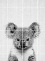IXXI Print 67 Koala - Wanddecoratie - Dieren en insecten - 120 x 160 cm