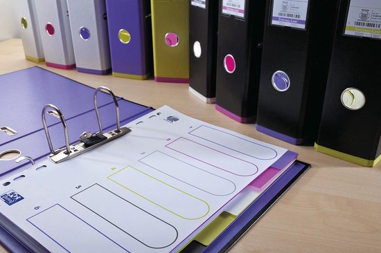 OXFORD MyColour tabbladen, formaat A4, uit gekleurde PP, 11-gaatsperforatie, 12 tabs 20 stuks
