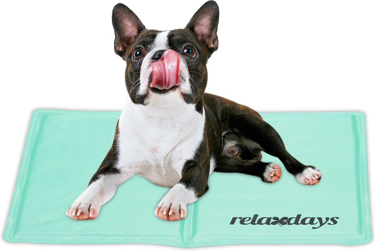 Relaxdays koelmat hond - koeldeken kat zonder water - verkoelende mat dieren - hondenmat - 40 x 50 cm