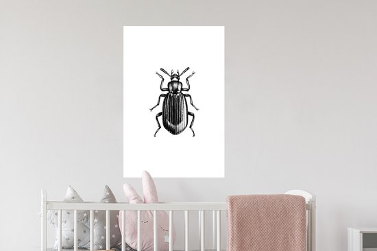 Stickers muraux - Scarabée - Animaux - Vintage - 40x60 cm - Film adhésif