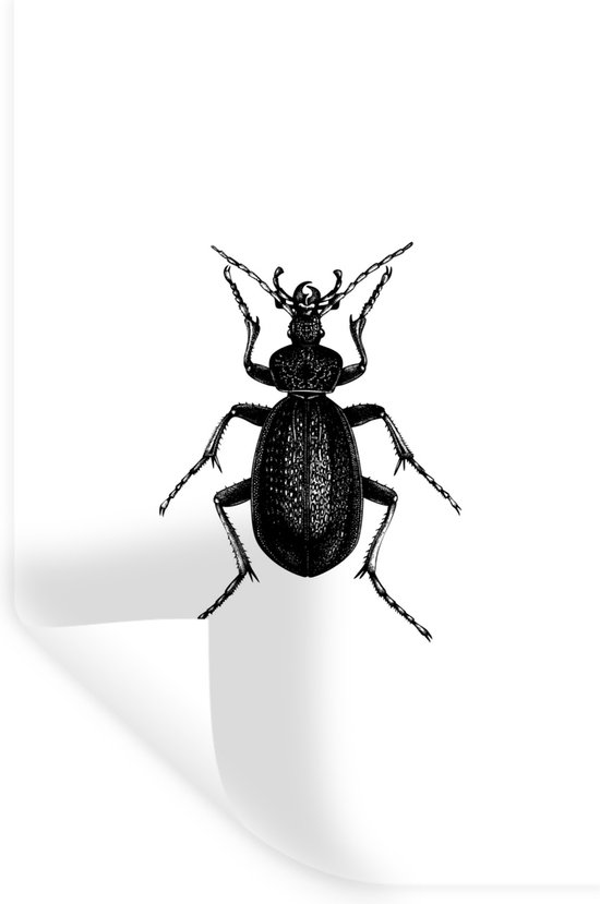 Stickers muraux - Film autocollant - Zwart et blanc - Coccinelle - Vintage  - Insectes... | bol.com