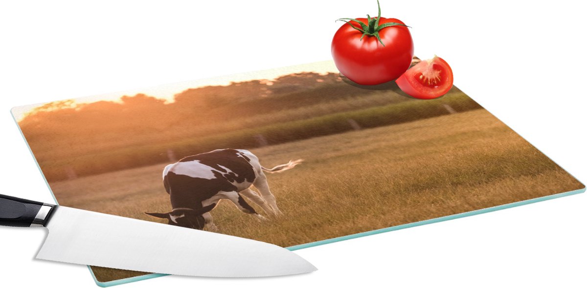Glazen Snijplank - 39x28 - Koe - Zon - Dieren - Snijplanken Glas