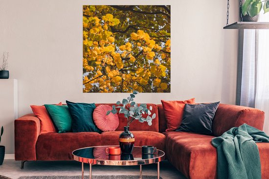 Affiche Feuilles - Arbre - Nature - Saisons - 100x100 cm XXL