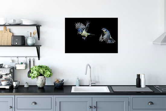 Poster Flycatchers sur fond noir papier 60x40 cm - Tirage photo sur Poster (décoration murale salon / chambre) / Poster Animaux sauvages