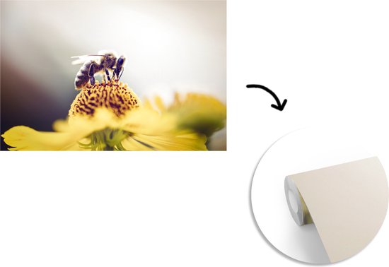 Papier peint Papier peint photo en vinyle - Abeille sur une fleur jaune largeur 450 cm x hauteur 300 cm - Tirage photo sur papier peint (disponible en 7 tailles)