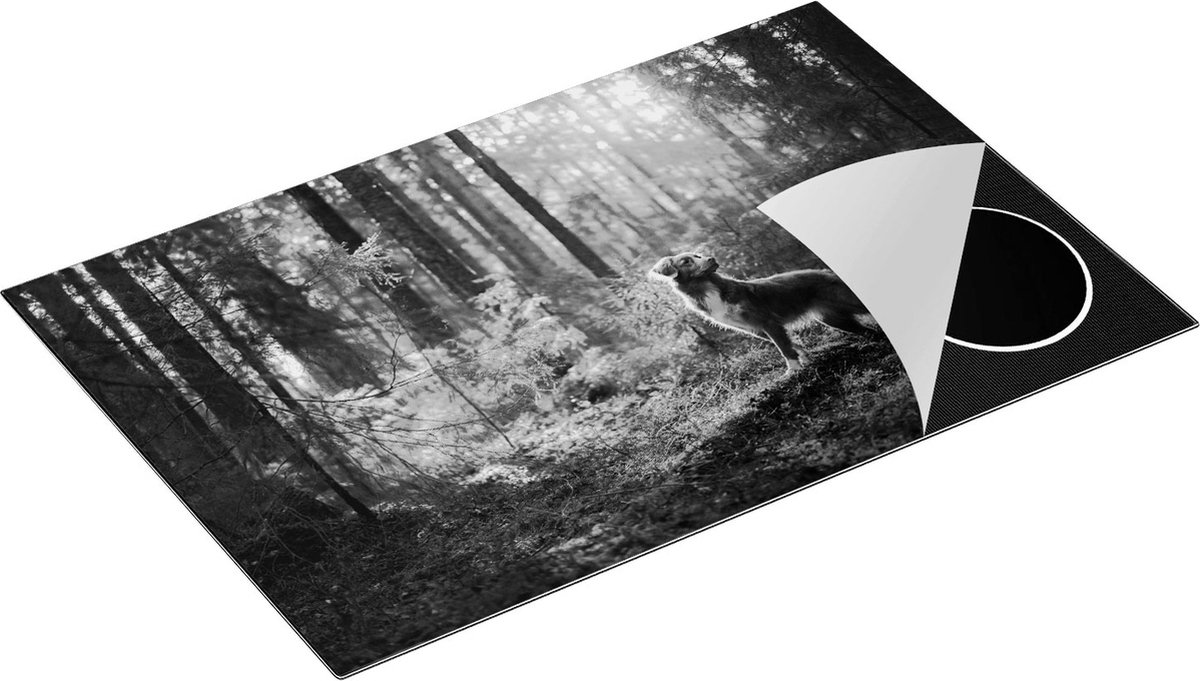 Chefcare Inductie Beschermer Retriever Hond in het Bos met Zon - Zwart Wit - 81,6x52,7 cm - Afdekplaat Inductie - Kookplaat Beschermer - Inductie Mat