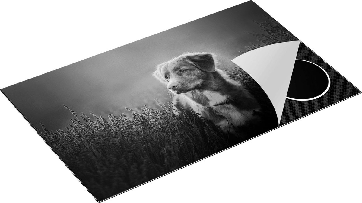 Chefcare Inductie Beschermer Retriever Hond tussen de Lavendel Bloemen - Zwart Wit - 85x55 cm - Afdekplaat Inductie - Kookplaat Beschermer - Inductie Mat