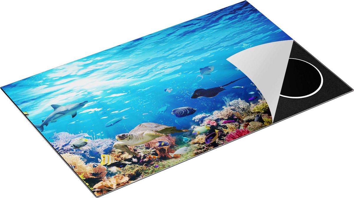 Chefcare Inductie Beschermer Vissen met Koraalrif onder Water - 85x50 cm - Afdekplaat Inductie - Kookplaat Beschermer - Inductie Mat