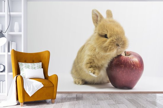 Papier peint photo peint photo vinyle - Bébé lapin avec une pomme largeur 450 cm x hauteur 300 cm - Tirage photo sur papier peint (disponible en 7 tailles)