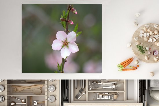 KitchenYeah® Inductie beschermer 58.3x51.3 cm - Bloem van de amandel - Kookplaataccessoires - Afdekplaat voor kookplaat - Inductiebeschermer - Inductiemat - Inductieplaat mat