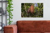 Canvas Schilderij Tropische kleuren van de peulenschil om de cacaobonen heen - 60x40 cm - Wanddecoratie