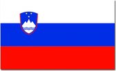 Luxe vlag Slovenië