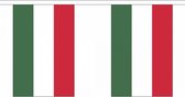 Ligne drapeau de luxe Hongrie 9 m