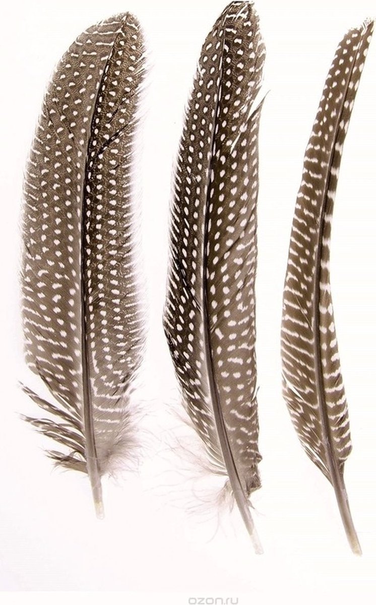 Hobby/knutsel Parelhoen/fazanten sierveren - 5x stuks - decoratie materialen
