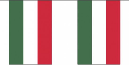 De Vlag Van Hongarije Hongaarse Lintbanner Het Symbool Van De Staat