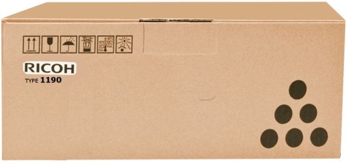Ricoh 431013