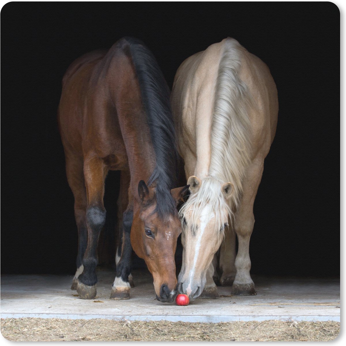 Muismat XXL 80x80 cm - Bureau onderlegger - Bureau mat Paarden - Dieren - Appel - Bureaumat - Gaming mousepad xl - Bureaulegger groot - Computer deskmat