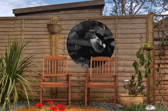 Cercle de jardin Colibri entre les fleurs roses anciennes et les papillons - noir et blanc - 60x60 cm - Affiche de jardin ronde - Extérieur