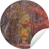 Tuincirkel Boom - Herfst - Amerika - 90x90 cm - Ronde Tuinposter - Buiten