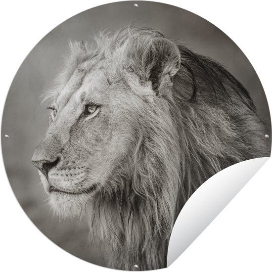 Décoration Murale Murale D'extérieur Lion - Nature - Herbe - 80x160 Cm Toile De Jardin