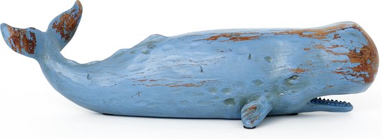 Blauwe potvis houtlook - BATELA
