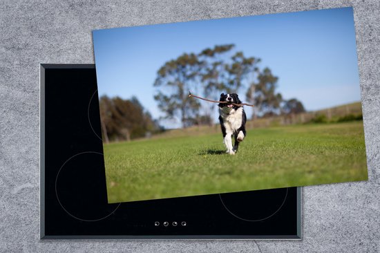 KitchenYeah® Inductie beschermer 81x52 cm - Een border collie met een stok in de mond - Kookplaataccessoires - Afdekplaat voor kookplaat - Inductiebeschermer - Inductiemat - Inductieplaat mat