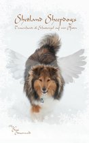Shetland Sheepdogs: Traumhunde & Schutzengel auf vier Pfoten