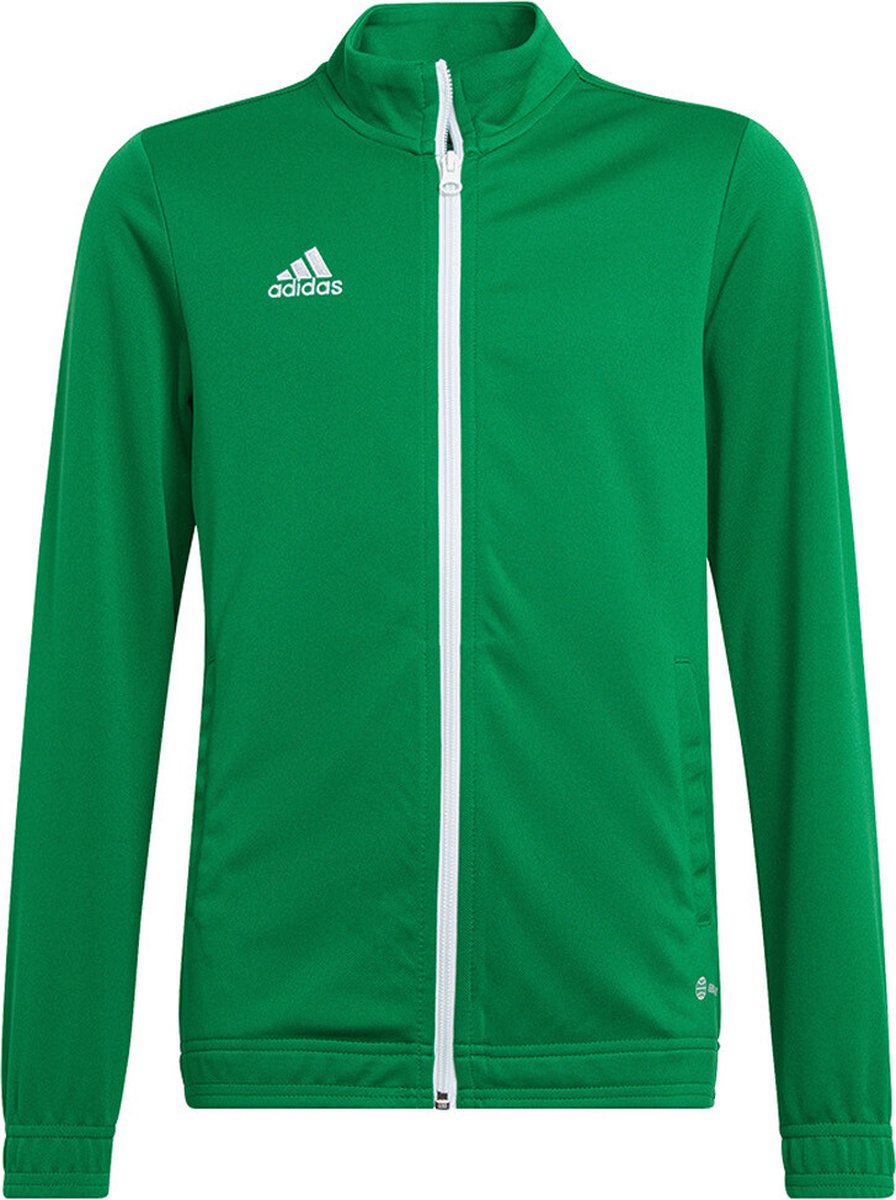 adidas - Entrada 22 Track Jacket Youth - Groene Jas Kids-152