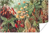 Poster Bloemen - Kunst - Vintage - Natuur - Botanisch - 30x20 cm